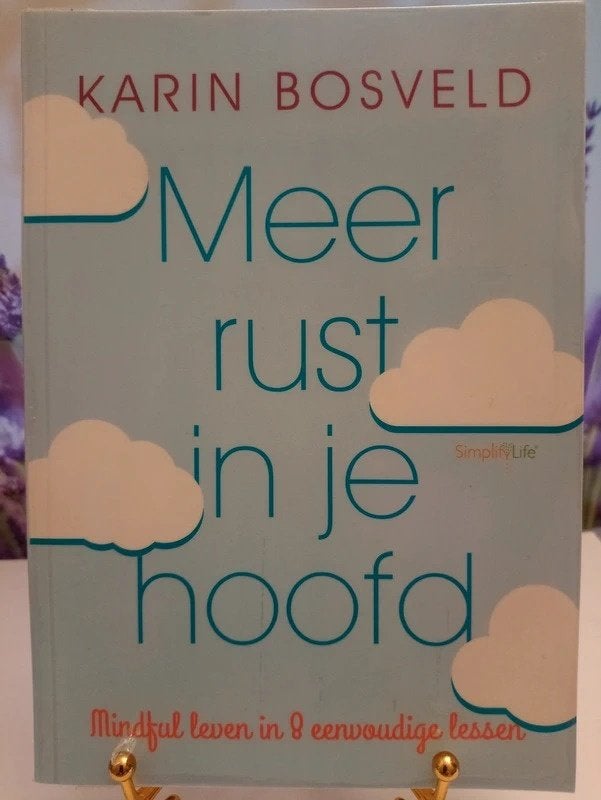 Meer rust in je hoofd, Livres, Psychologie, Enlèvement ou Envoi, Comme neuf