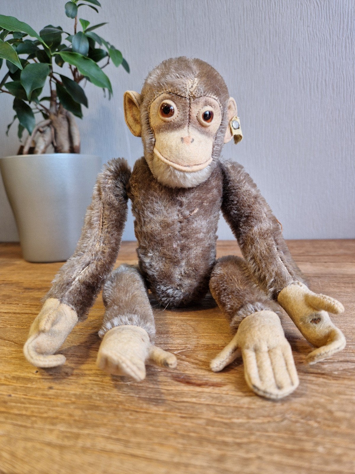 vintage Steiff aap Jocko, Ophalen of Verzenden