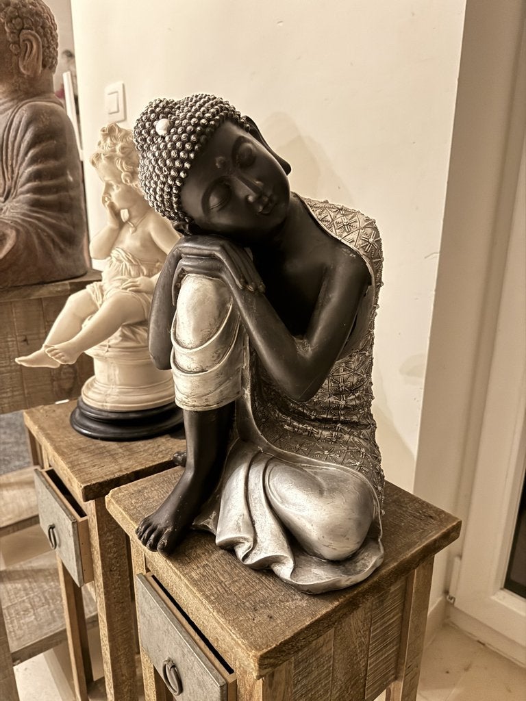 Boudha, Enlèvement