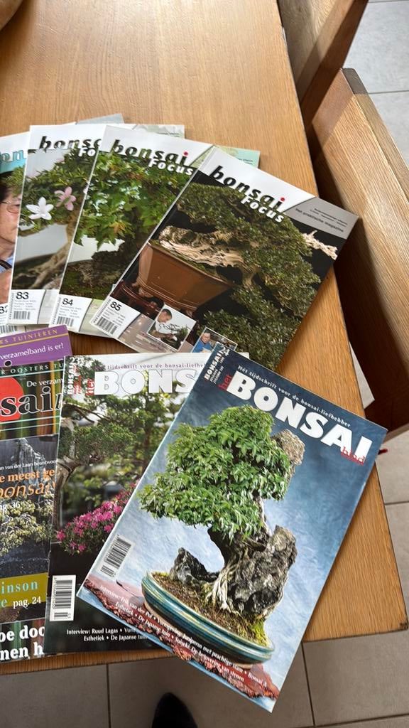 Lot - bonsai magazines en tijdschriften, Ophalen, Gelezen
