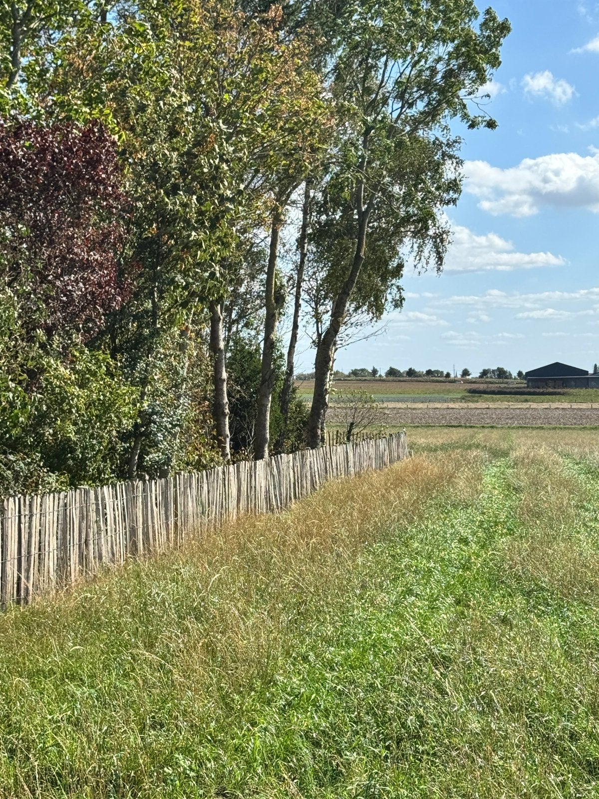 Kastanje omheining + palen, Tuin en Terras, Ophalen, Gebruikt, Hout, Tuinhek
