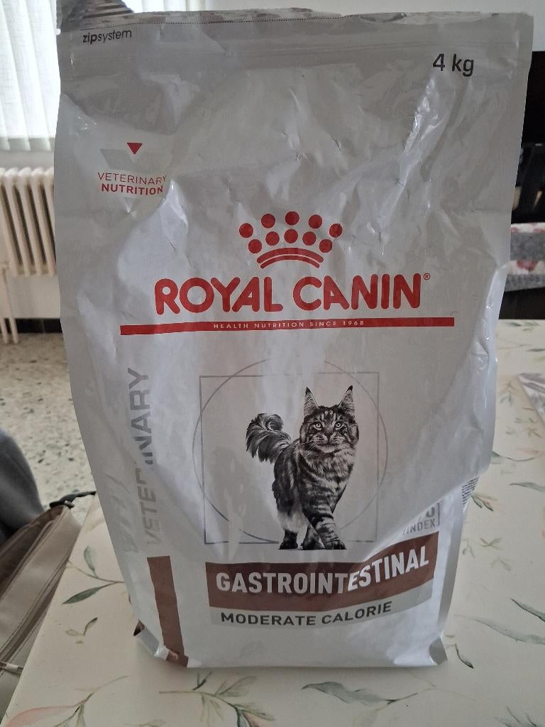 Sac de croquettes chat, Enlèvement, Chat