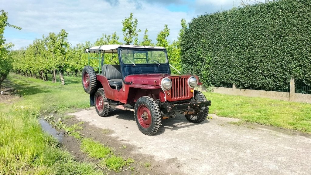 Jeep Willys CJ, Auto's, CJ, Particulier, Te koop, Benzine