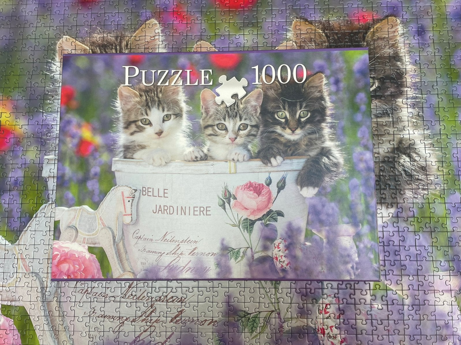 Chatons dans un seau 1000st, Enlèvement ou Envoi, 500 à 1500 pièces, Comme neuf, Puzzle