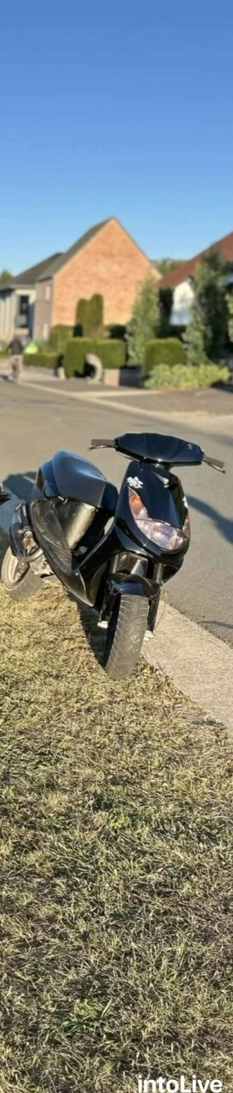 Viva 70cc, Autres modèles, 70 cm³, Enlèvement, Utilisé