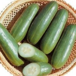 komkommerplanten snack komkommer Little Bite, Tuin en Terras, Ophalen
