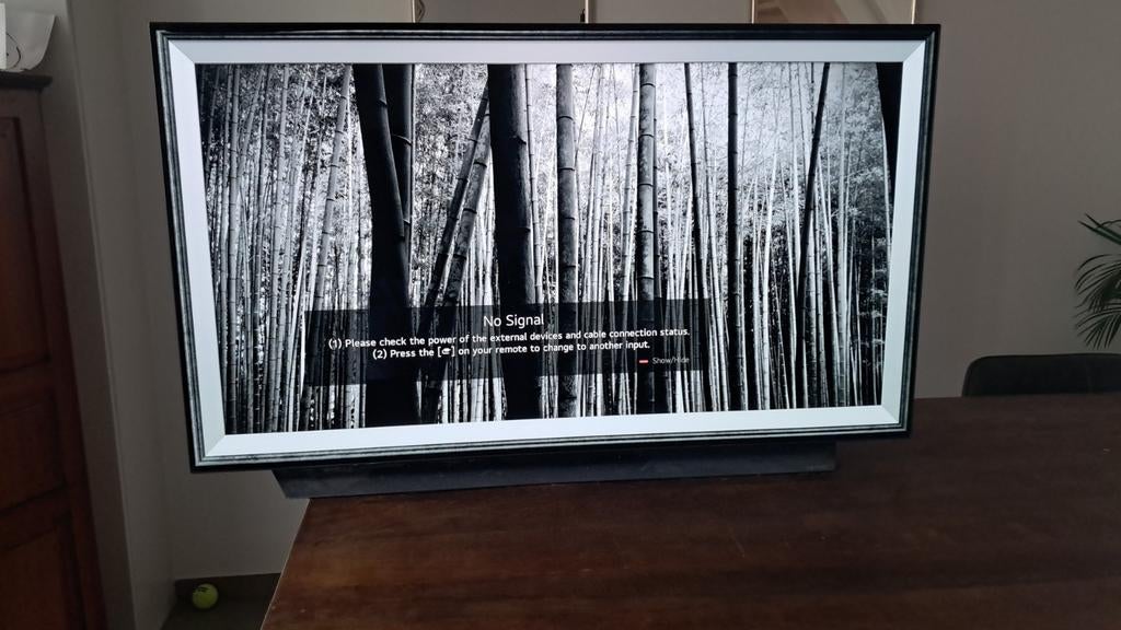 LG OLED 03/2020  55 inc, Enlèvement, OLED, LG