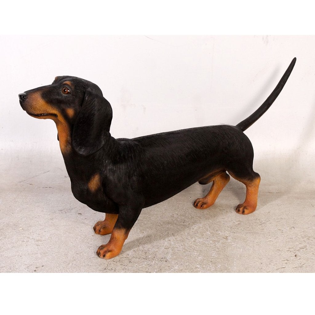 Dachshund – Tekkel beeld Lengte 87 cm, Ophalen, Nieuw