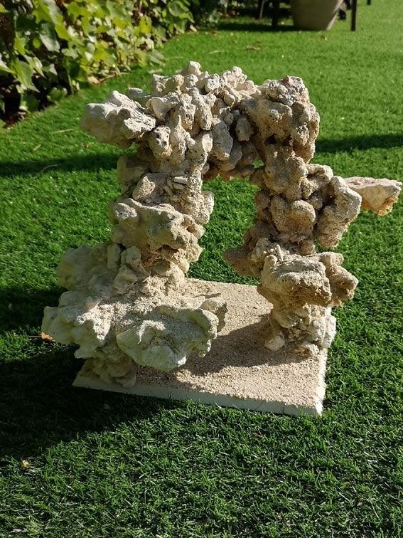 Corail pour aquarium récifal, Enlèvement, Neuf, Decoratie