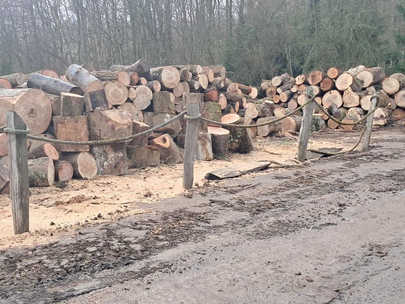 Bois de chauffage à vendre, Enlèvement