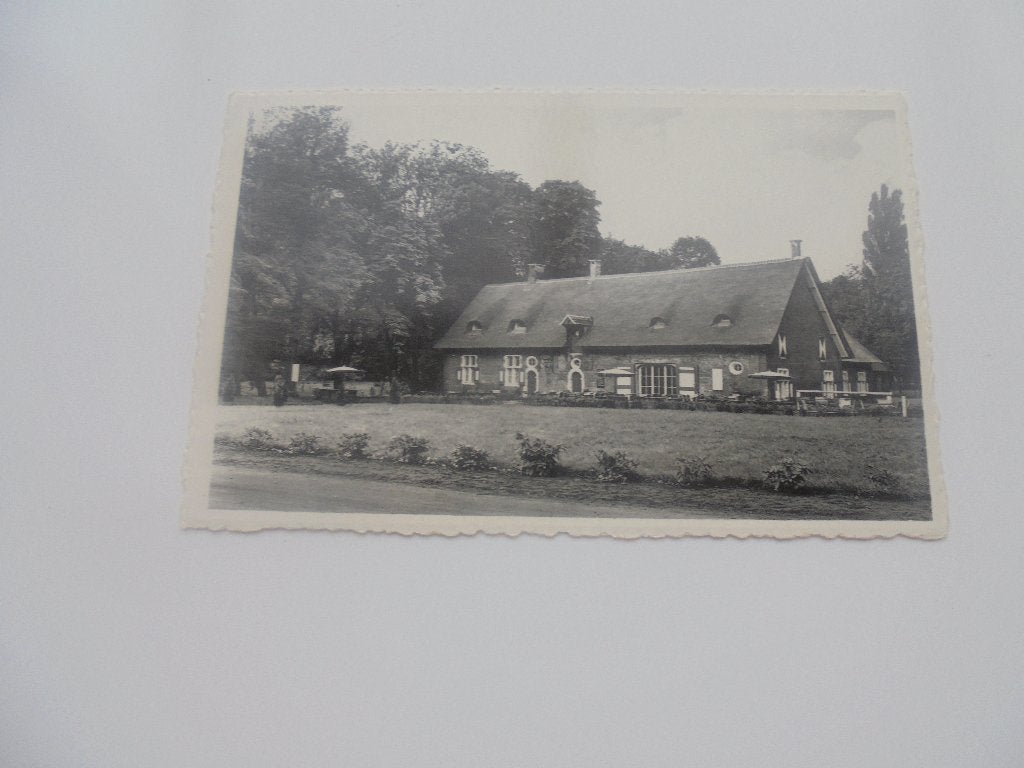 schoten-riddershoeve, Verzenden, 1940 tot 1960, Ongelopen, Antwerpen
