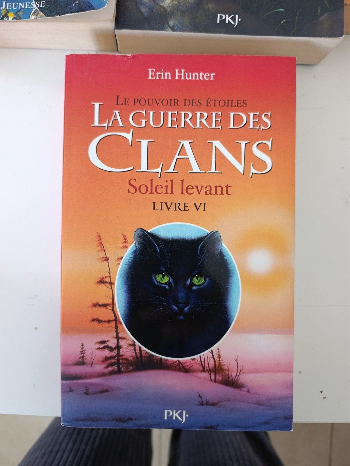 9782266239684La guerre des clans, le pouvoir des étoiles VI, Livres, Enlèvement ou Envoi