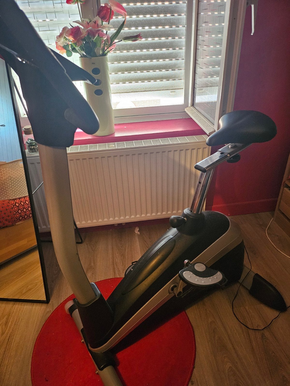 Velo appartement, Enlèvement, Vélo d'appartement