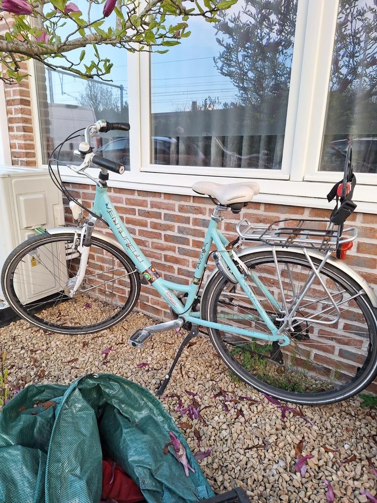 venturelli dames fiets, Ophalen