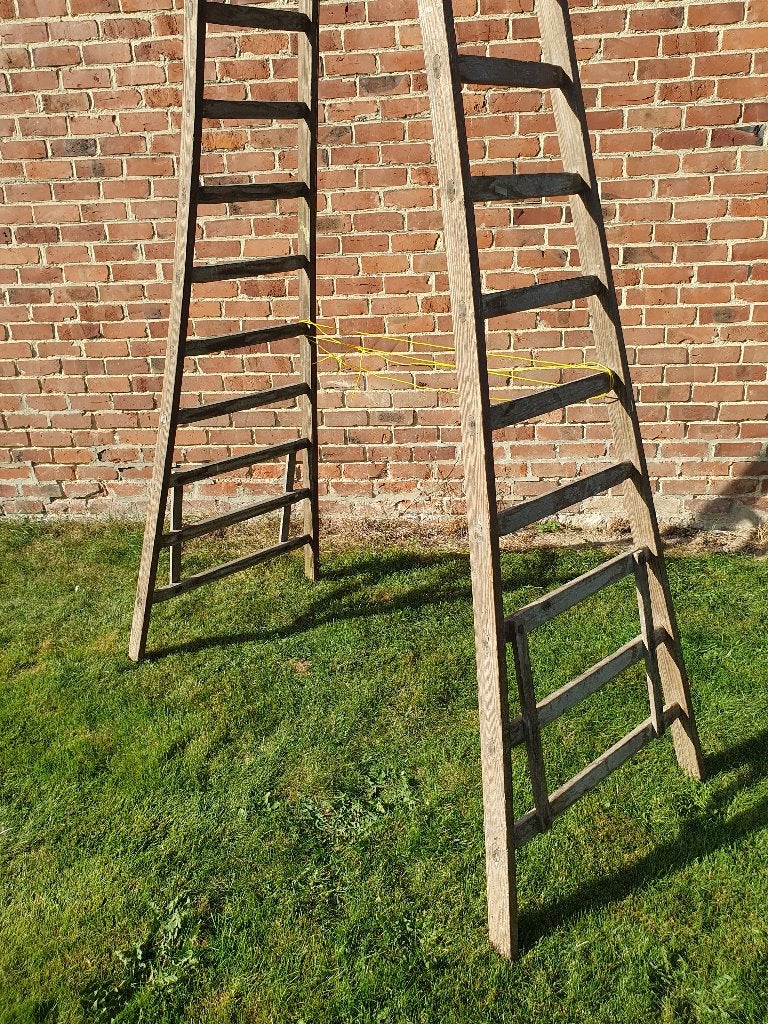 double échelle en bois, Enlèvement, Utilisé, Échelle, 2 à 4 mètres