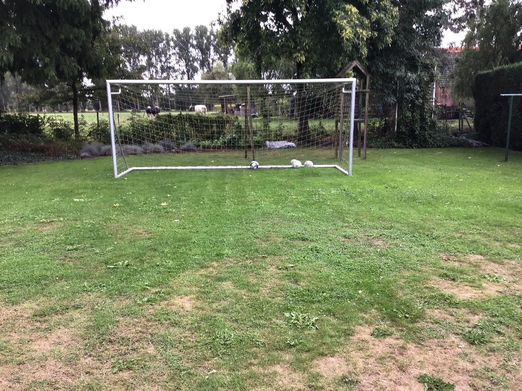 sport, Ophalen, Zo goed als nieuw