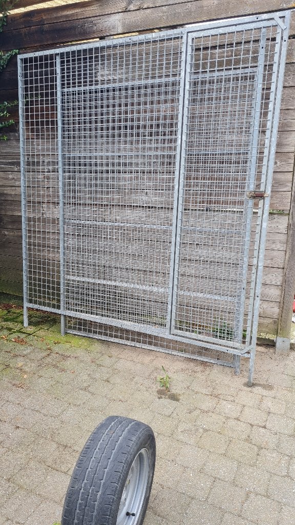 Galvanise ren, Dieren en Toebehoren, Vogels | Duiven, Postduif