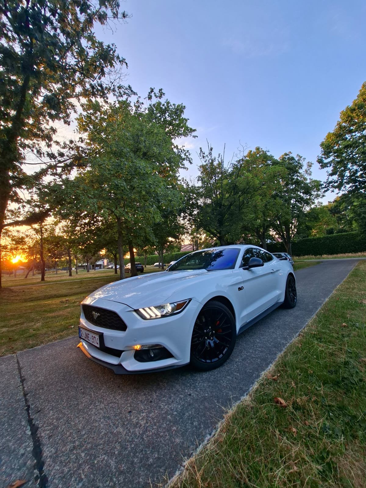Ford mustang ecoboost, Auto's, Ford, Bedrijf, Mustang, Achteruitrijcamera, Benzine, Euro 6, Coupé, Automaat, Onderhoudsboekje