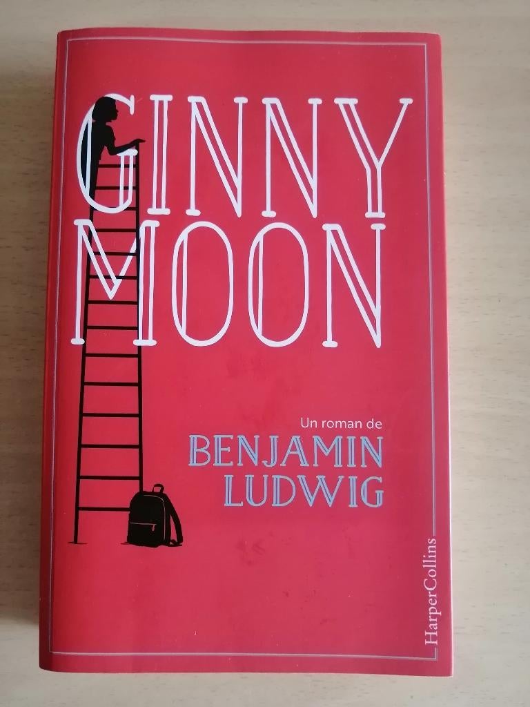 Ginny Moon de Benjamin Ludwig, Enlèvement ou Envoi