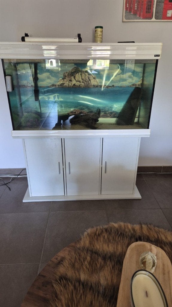 Volledige aquarium met kast, Dieren en Toebehoren, Ophalen, Inclusief deksel