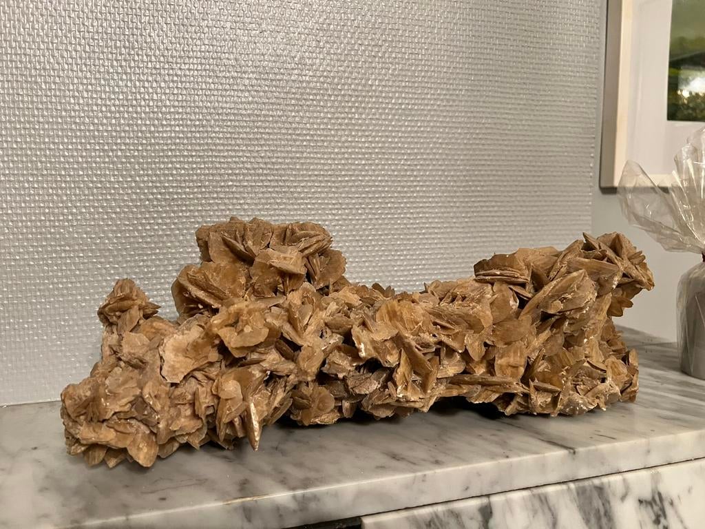 Natuurlijke koralen, Ophalen of Verzenden, Zo goed als nieuw