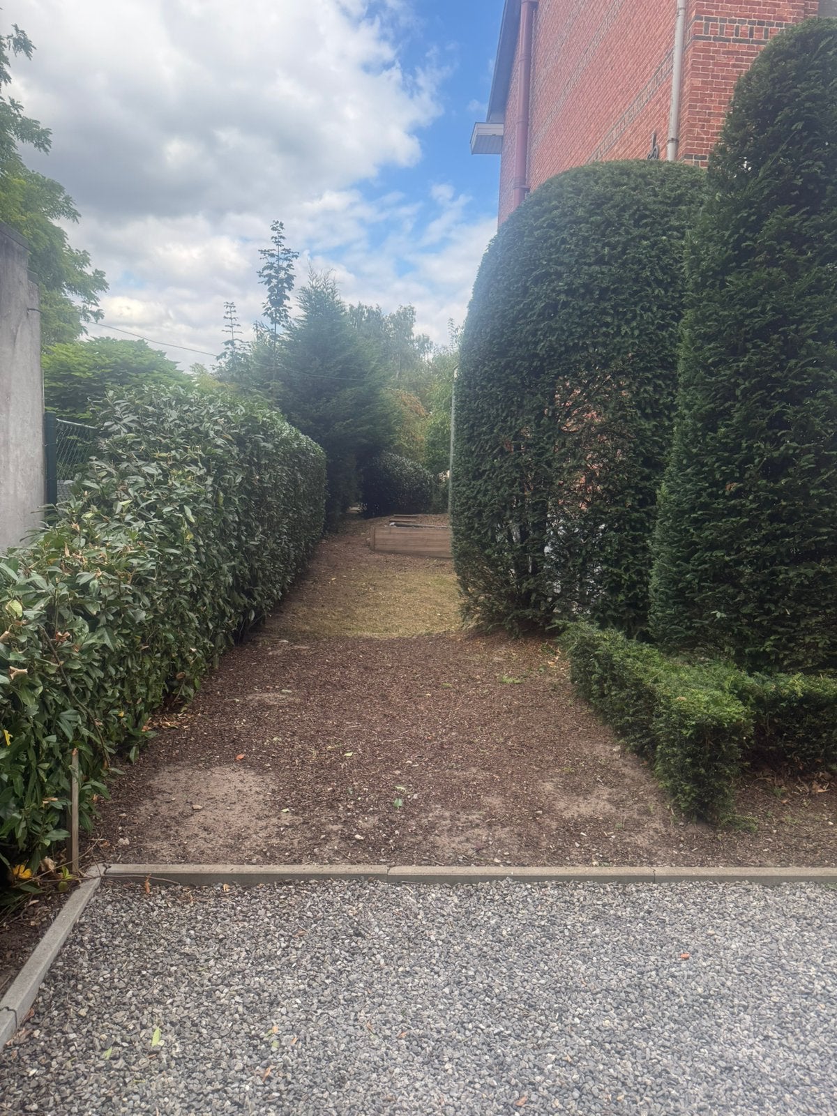 Tuin en terras maken,onderhoud,snoeien,maaien,hagen scheren, Ophalen of Verzenden, Zo goed als nieuw