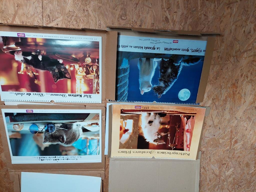 Calendriers de chats, Divers, Enlèvement