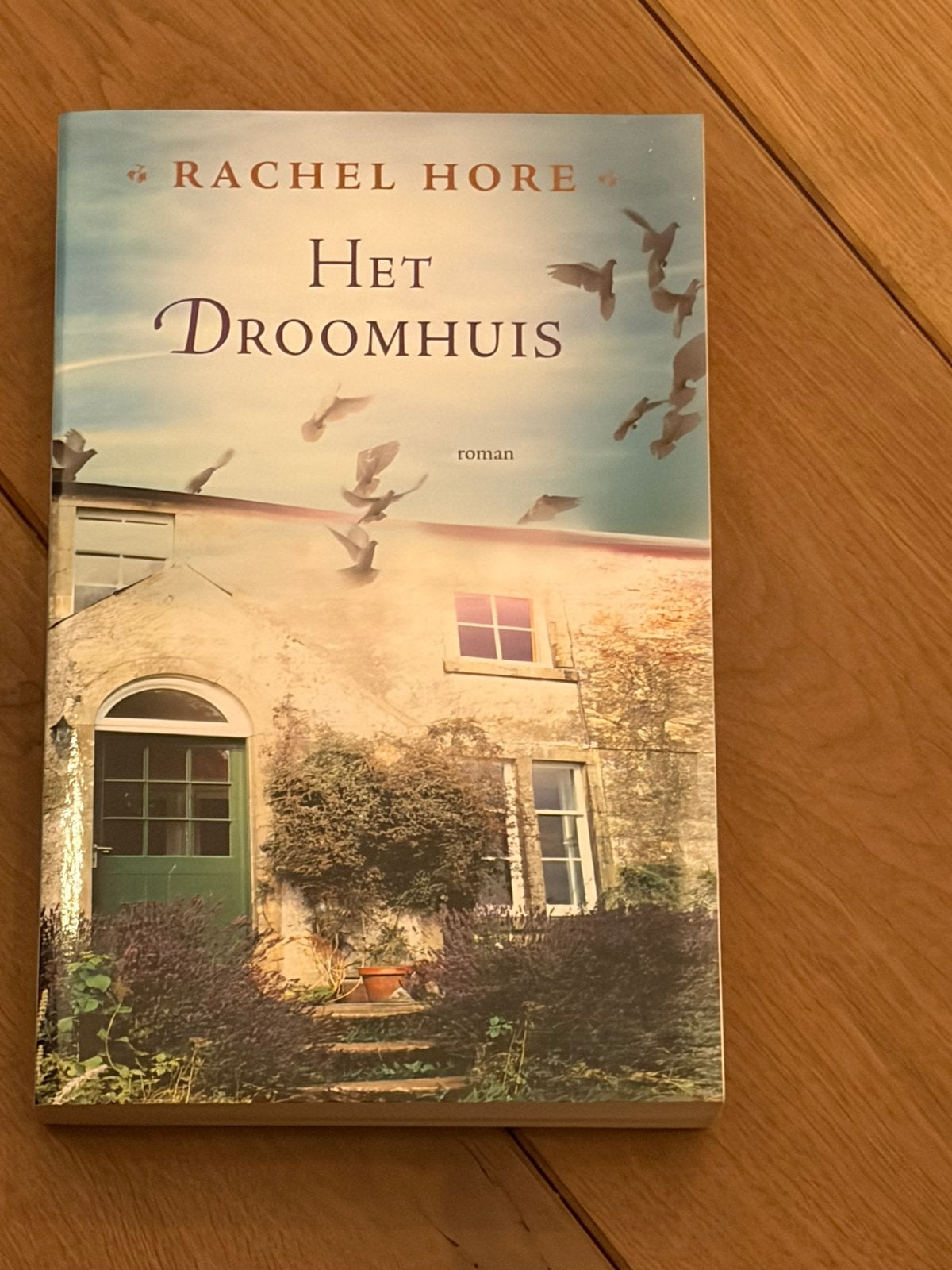 Rachel Hore - Het droomhuis, Boeken, Ophalen of Verzenden, Zo goed als nieuw