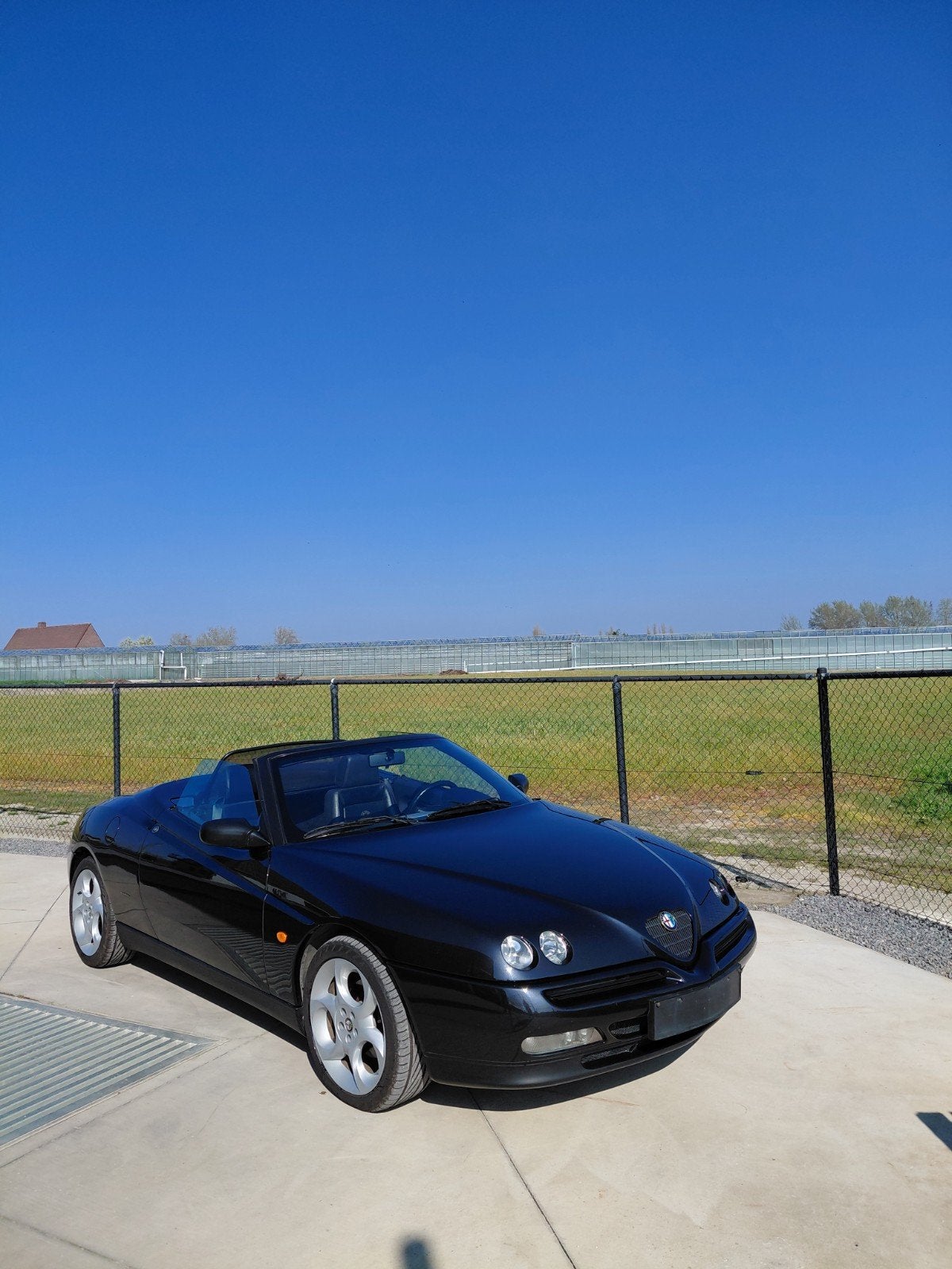 Alfa romeo twinspark, Auto's, Oldtimers, Particulier, Alfa Romeo, Benzine, Ophalen