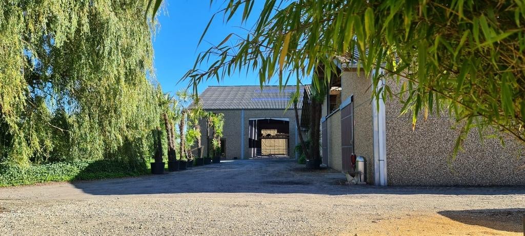 Box disponible à Brugelette/Ath, 2 ou 3 chevaux ou poneys