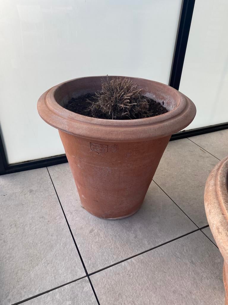 Poggi Ugo potten terracotta (6 stuks - apart verkrijgbaar), Ophalen, Zo goed als nieuw, Terracotta, 40 tot 70 cm