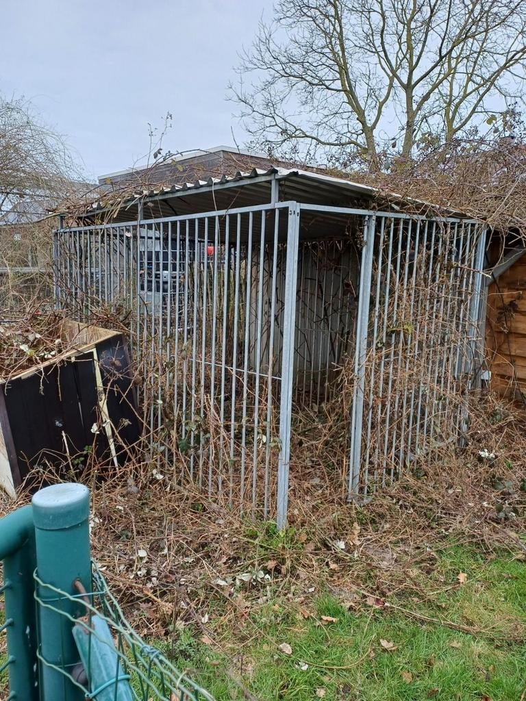 Parc pour chiens (les deux sont autorisés), Enlèvement