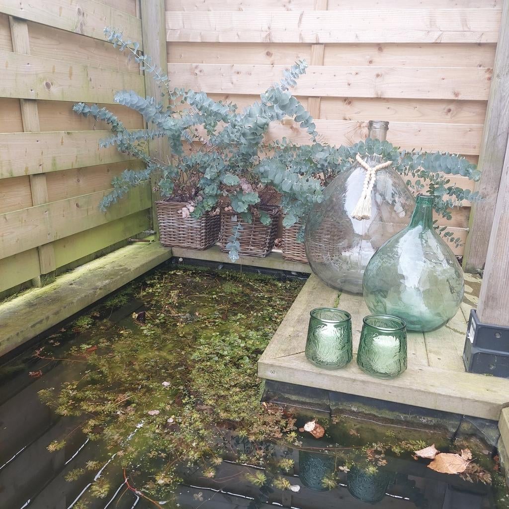 Dame Jeanne/gistfles, Tuin en Terras, Ophalen