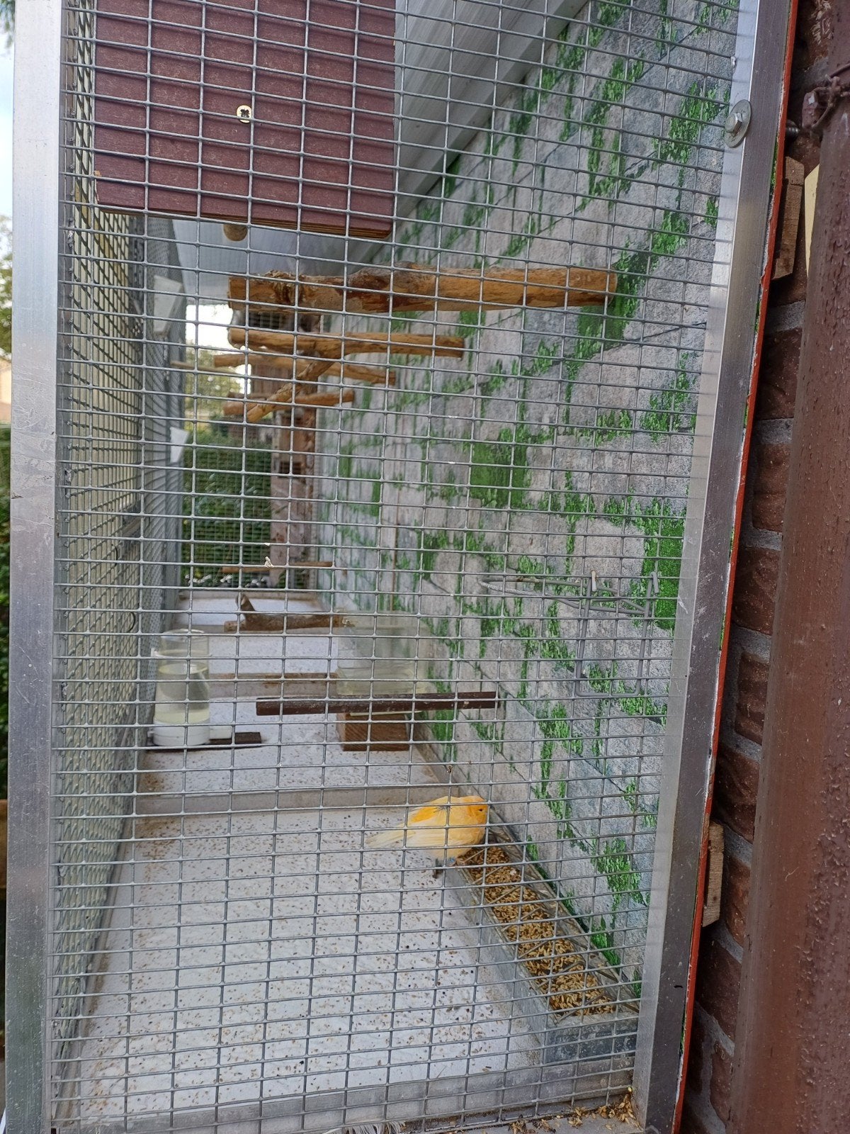 vogel kooi, Ophalen, Aluminium