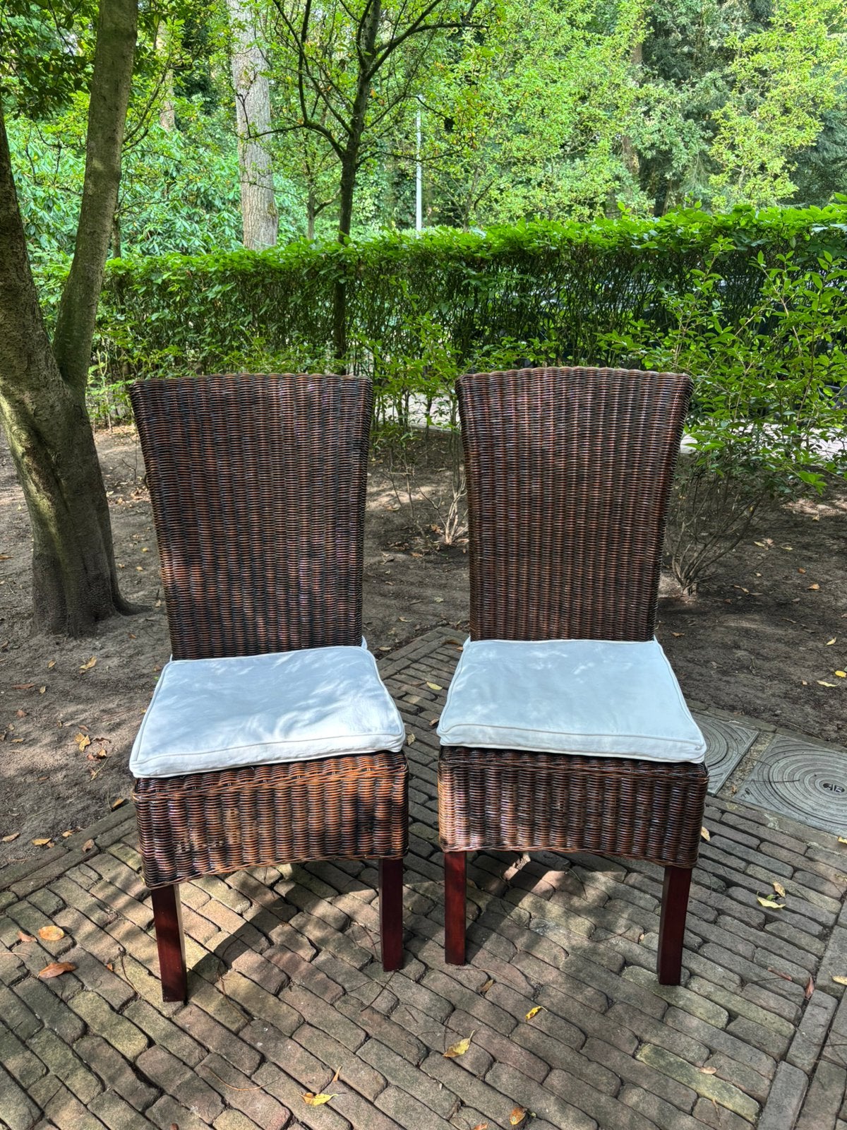 Set van 10 rieten eetkamerstoelen met kussens, Huis en Inrichting, Stoelen, Ophalen, Gebruikt, Bruin, Hout
