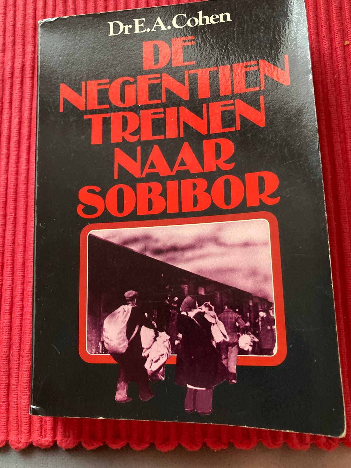 Boeken over de Holocaust, Enlèvement ou Envoi, Deuxième Guerre mondiale, Utilisé, Autres sujets/thèmes