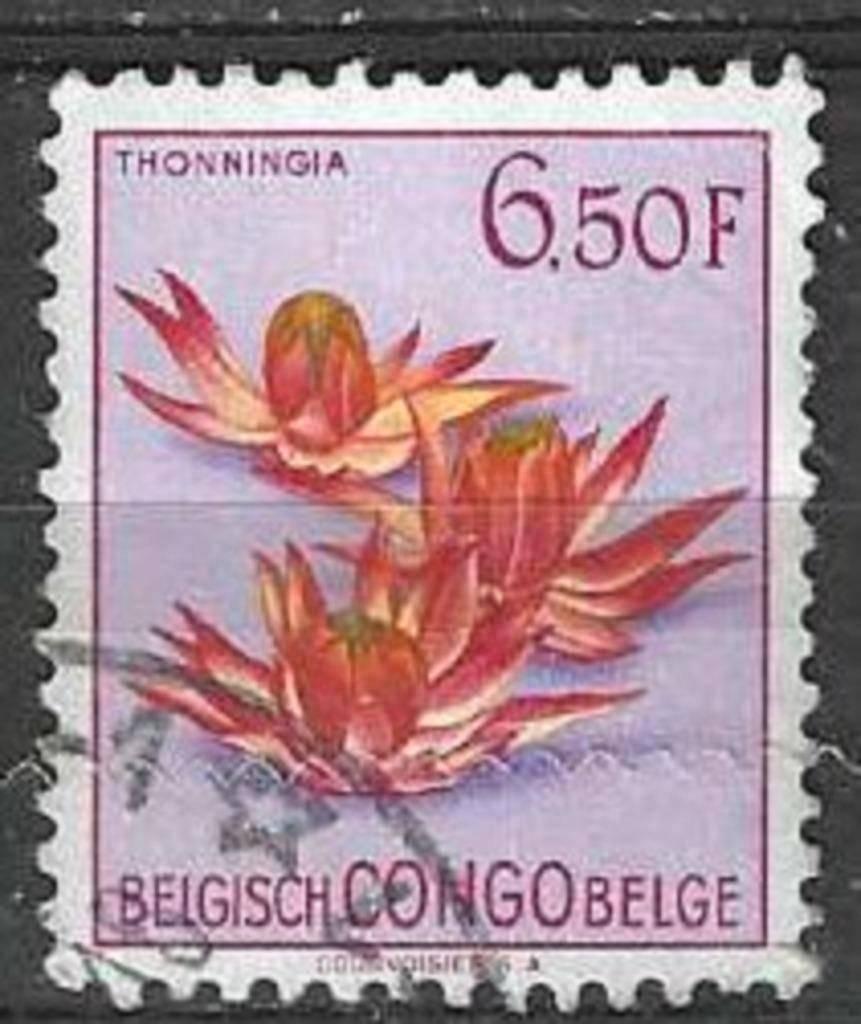 Congo belge 1952 - Yvert 317 - Flore - Fleurs (ST), Envoi, Affranchi