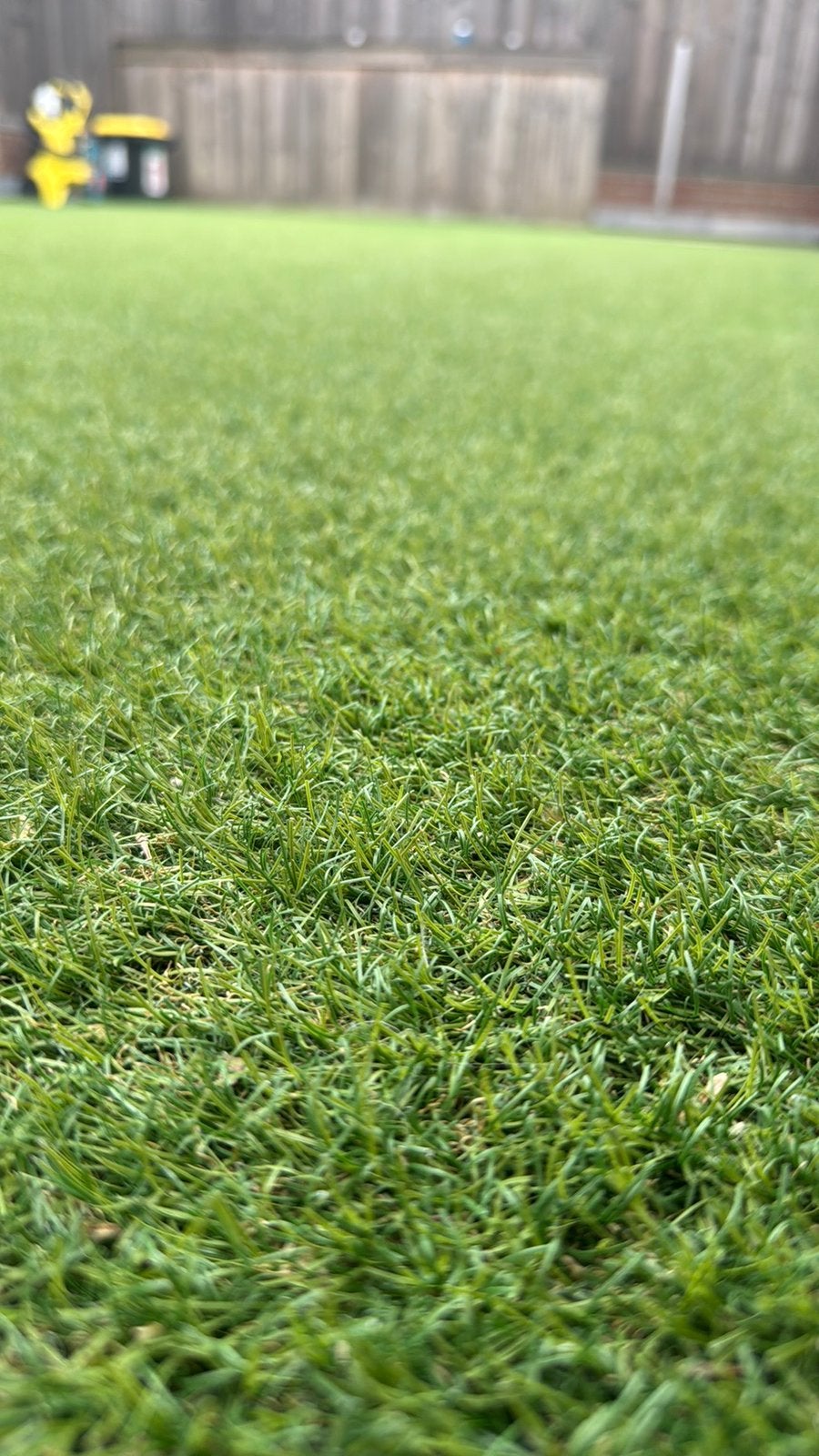 Gazon artificiel Hillrose, Enlèvement, Utilisé, 20 m² ou plus, Gazon artificiel