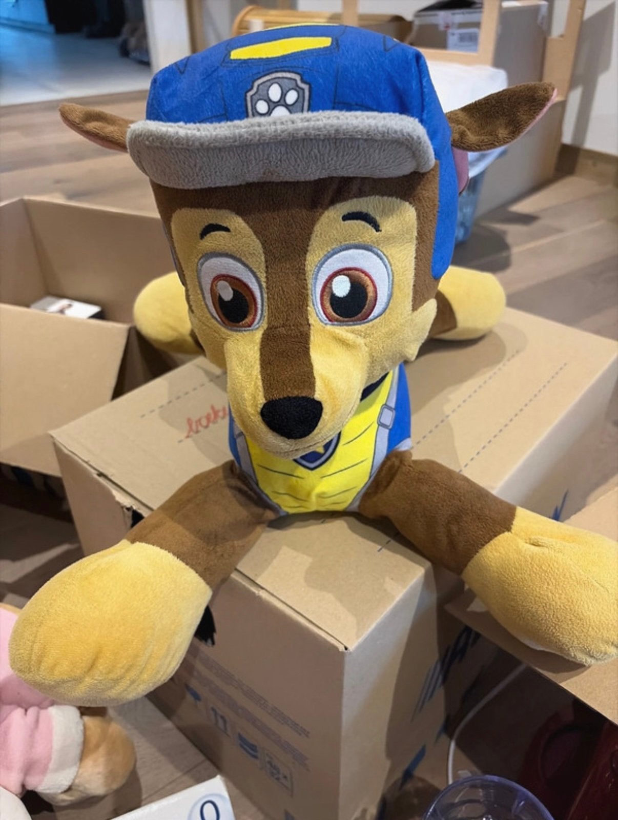 Knuffel Paw Patrol, Kinderen en Baby's, Paw Patrol, Ophalen of Verzenden, Zo goed als nieuw, Middelgroot (20 tot 80 cm)