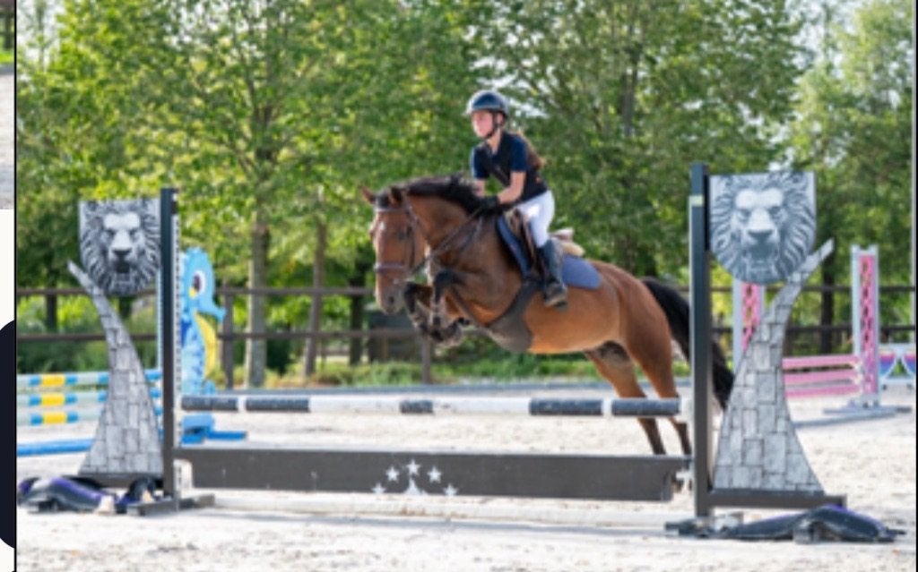 Sportieve C- pony, Dieren en Toebehoren, Merrie, Met stamboom, Springpony, 11 jaar of ouder