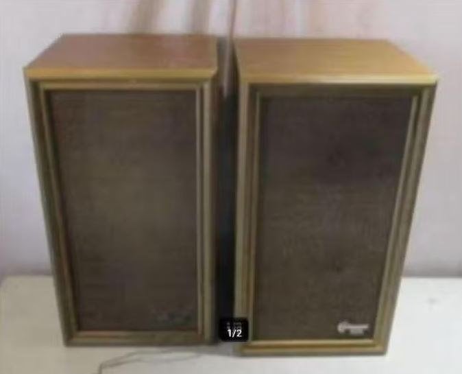 2 Retro Houten Luidsprekers - Dynamic Pearl, Ophalen of Verzenden, Zo goed als nieuw, Stereo speakers