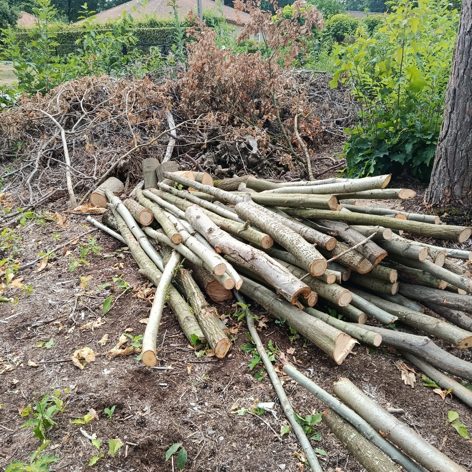 Brandhout eik, Tuin en Terras, Brandhout, Ophalen