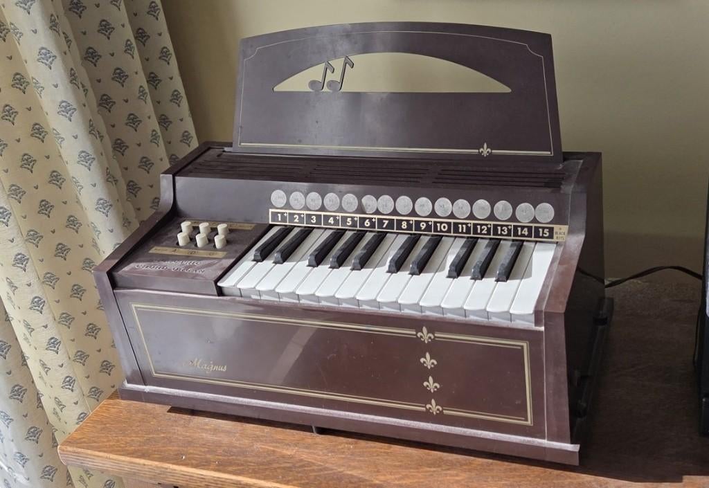 Draagbaar elektrisch orgel Magnus 300, Muziek en Instrumenten, Ophalen, Zo goed als nieuw, Bruin, Piano