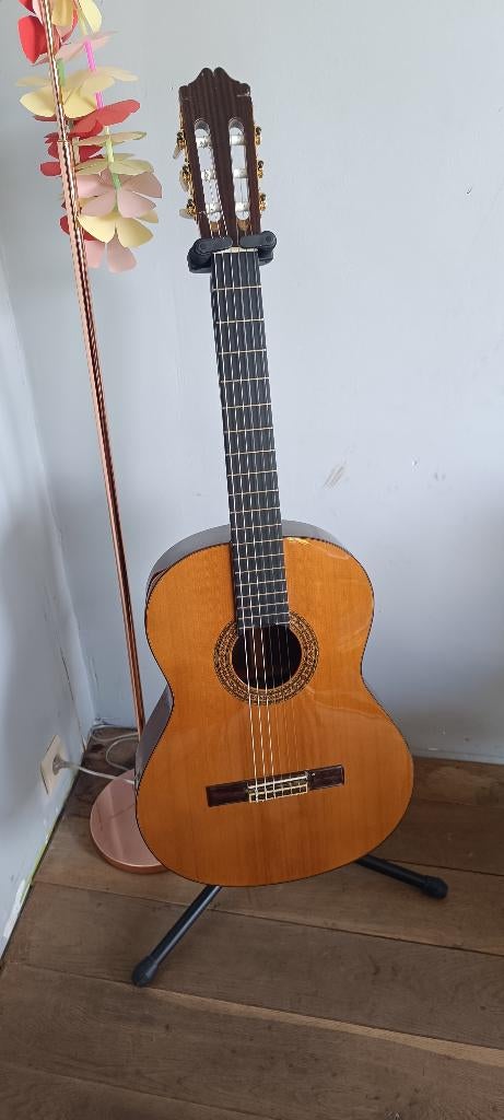 guitare classique Cuenca 50R Solid Cedar top, Enlèvement ou Envoi, Utilisé, Guitare classique ou espagnole