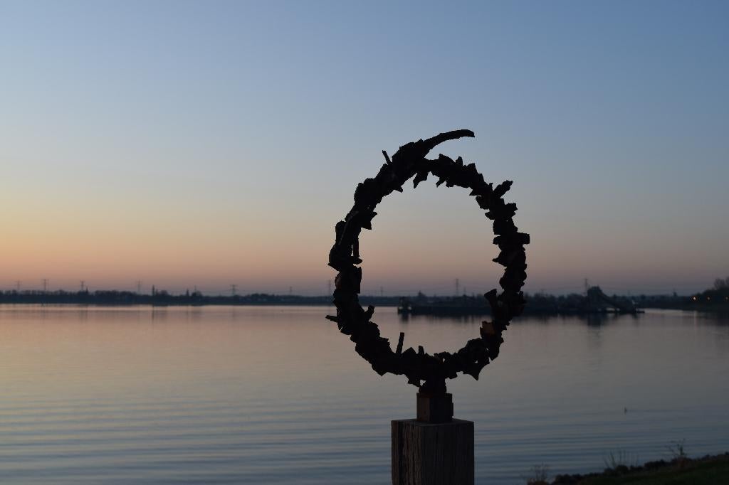 Maak het verschil met een uniek tuinbeeld, Tuin en Terras, Tuinbeelden, Nieuw, Abstract beeld, Metaal, Ophalen of Verzenden
