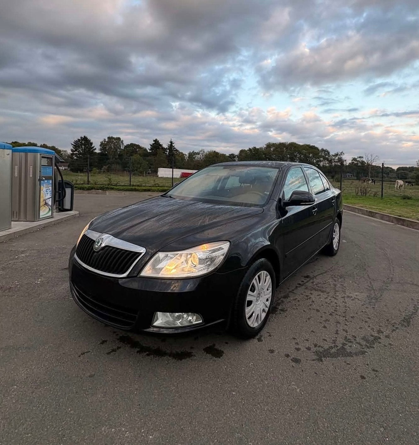 Skoda octavia, Autos, Bluetooth, Euro 5, Achat, Diesel