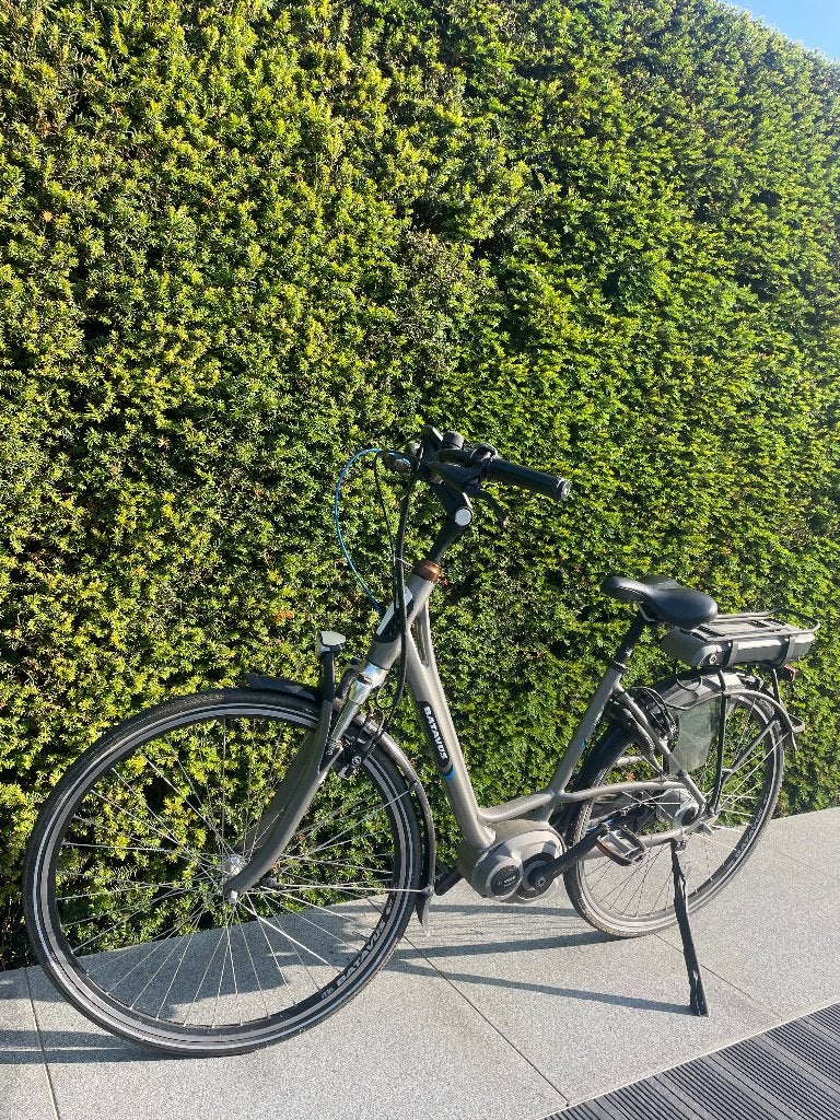 Elektrische fiets - Bosch middenmotor, Fietsen en Brommers, Ophalen, Batavus