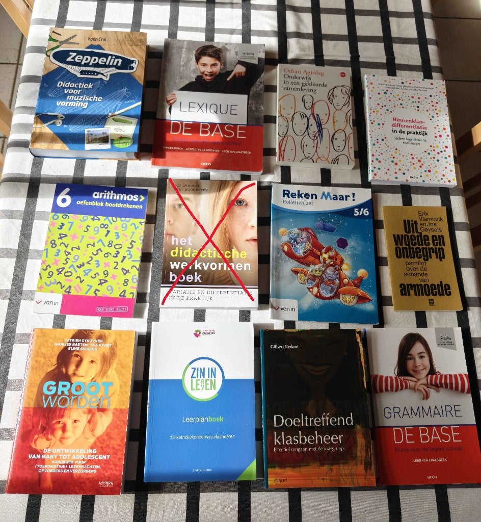 Erasmushogeschool lager onderwijs eerste jaar boeken, Boeken, Ophalen of Verzenden, Zo goed als nieuw, Hogeschool