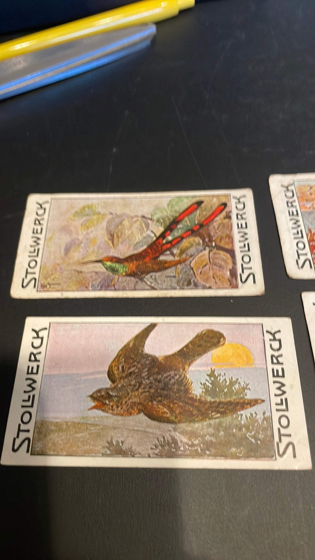 Stollwerck chromo groep 13(x3a), Verzamelen, Gebruikt, Ophalen of Verzenden, 1940 tot 1960, Dier