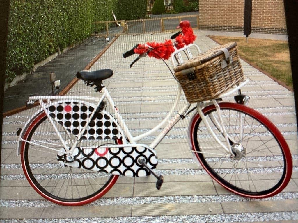 Oma fiets, Frein à rétropédalage, 53 à 56 cm, Enlèvement, Utilisé